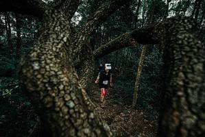 BIB: 
                            <button type="button" onclick="openModal(25686267)" class="btn btn-primary btn-sm float-right btn-popup" data-toggle="modal" data-target=".modal-high-quality">
                        <i class="fas fa-shopping-cart"></i> Add to Cart
                    </button>
                                            <button type="button" onclick="isThisMe(25686267, true)" class="btn btn-success btn-sm float-right btn-popup btn-isme hidden" data-toggle="tooltip" data-placement="bottom" title="นี่คือรูปของคุณใช่ไหม คลิกที่นี่เพื่อเอาเข้าอัลบั้ม">
                        <i class="fas fa-plus"></i> Add to album
                    </button>
                    <button type="button" onclick="isThisMe(25686267, false)" class="btn btn-warning btn-sm float-right btn-popup btn-isnotme hidden">
                        <i class="fas fa-ban"></i> Remove from album
                    </button>